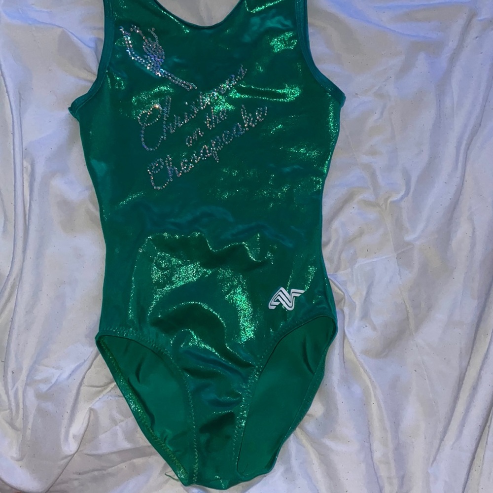 Christmas on the chesepeake leotard